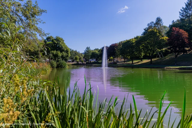 Ein See mit einer Fontäne in der Mitte umgeben von Wiesen, Sträuchern und Bäumen.