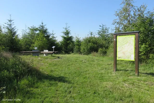 Bulsterkopf Sommer