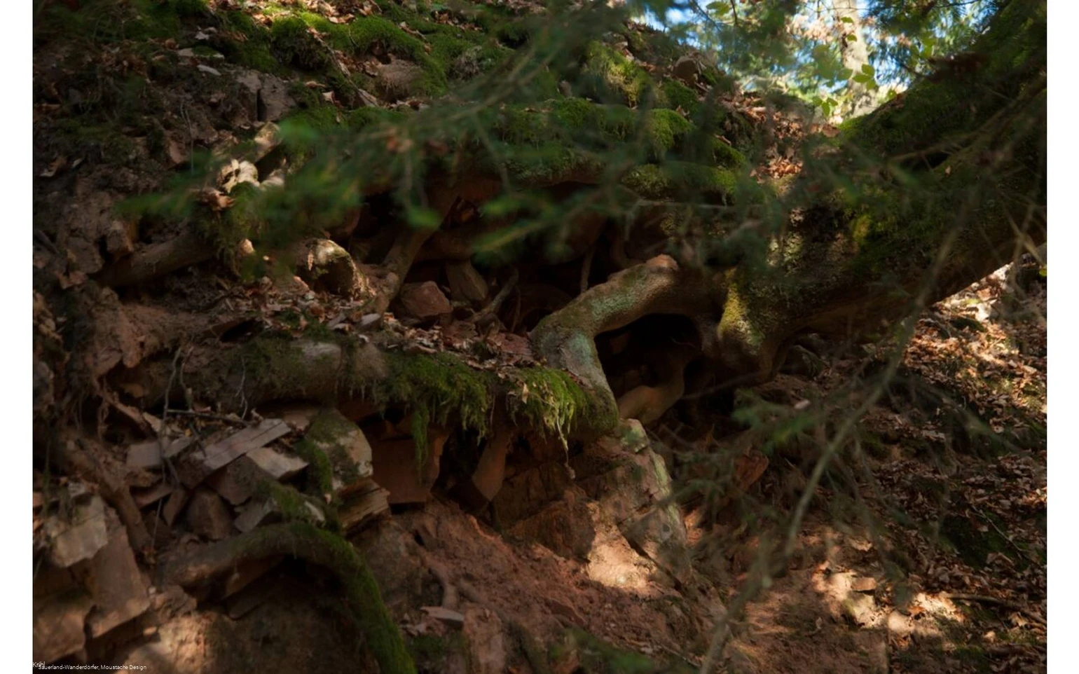 Seelenortwanderung Schinkenkeller