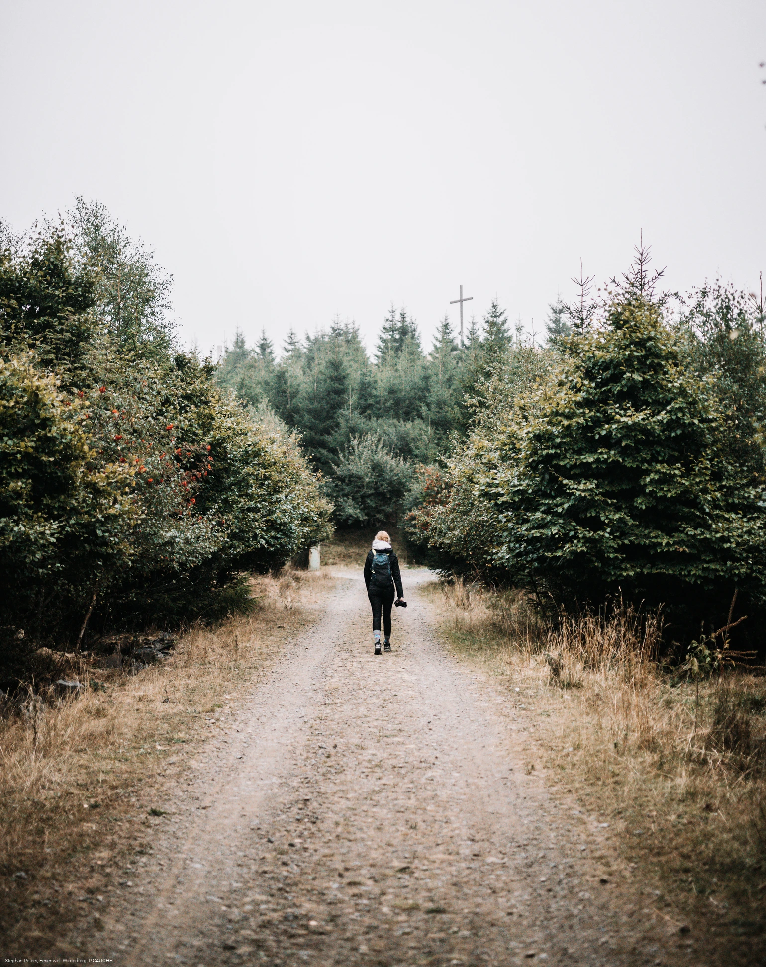 Wanderer