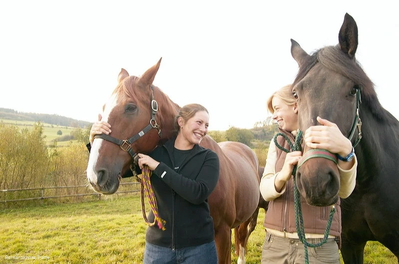 Reiterhof Platte