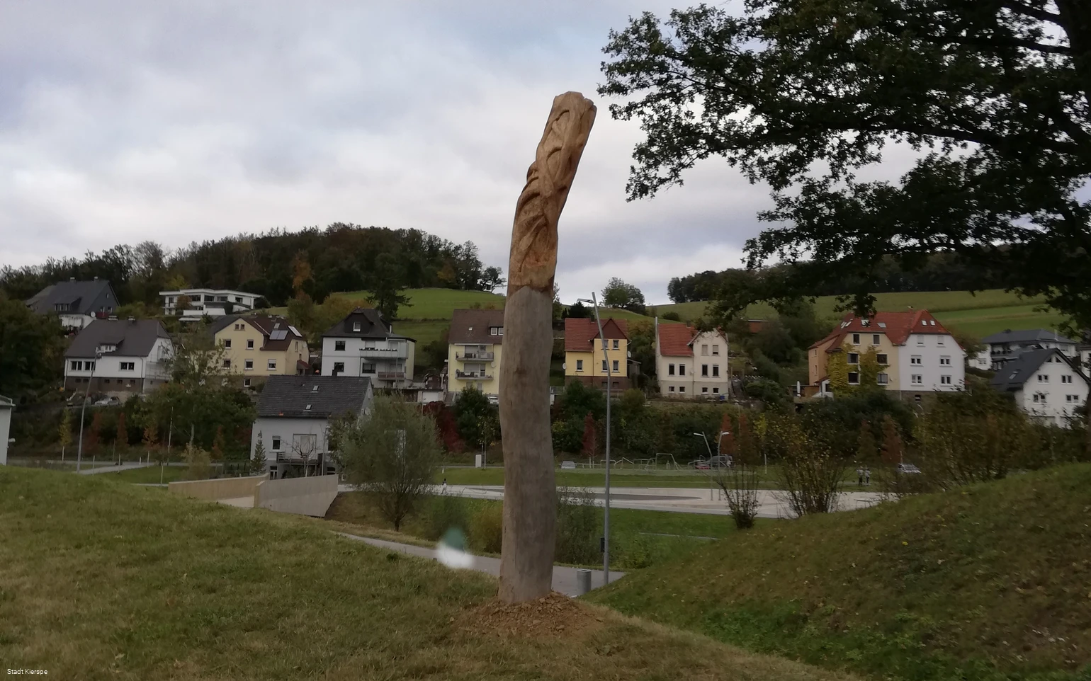 Scheuerpfahl Wurzeln und Erosion