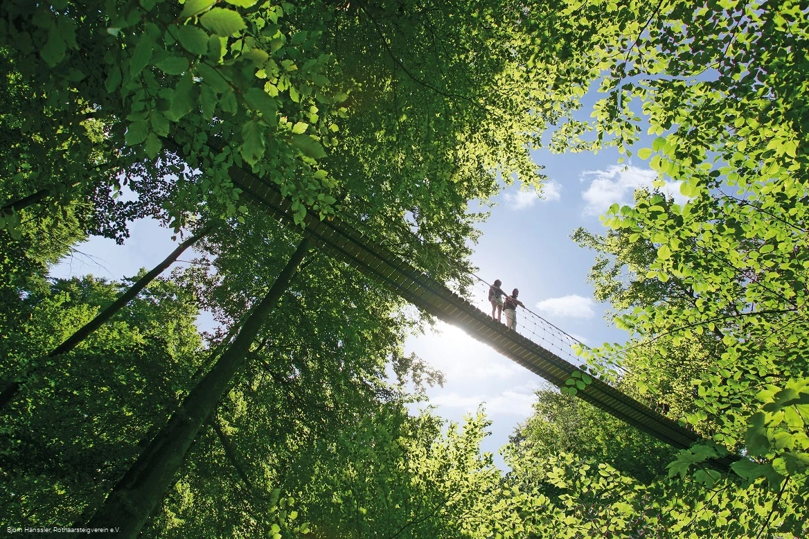Hängebrücke am Rothaarsteig bei Kühhude