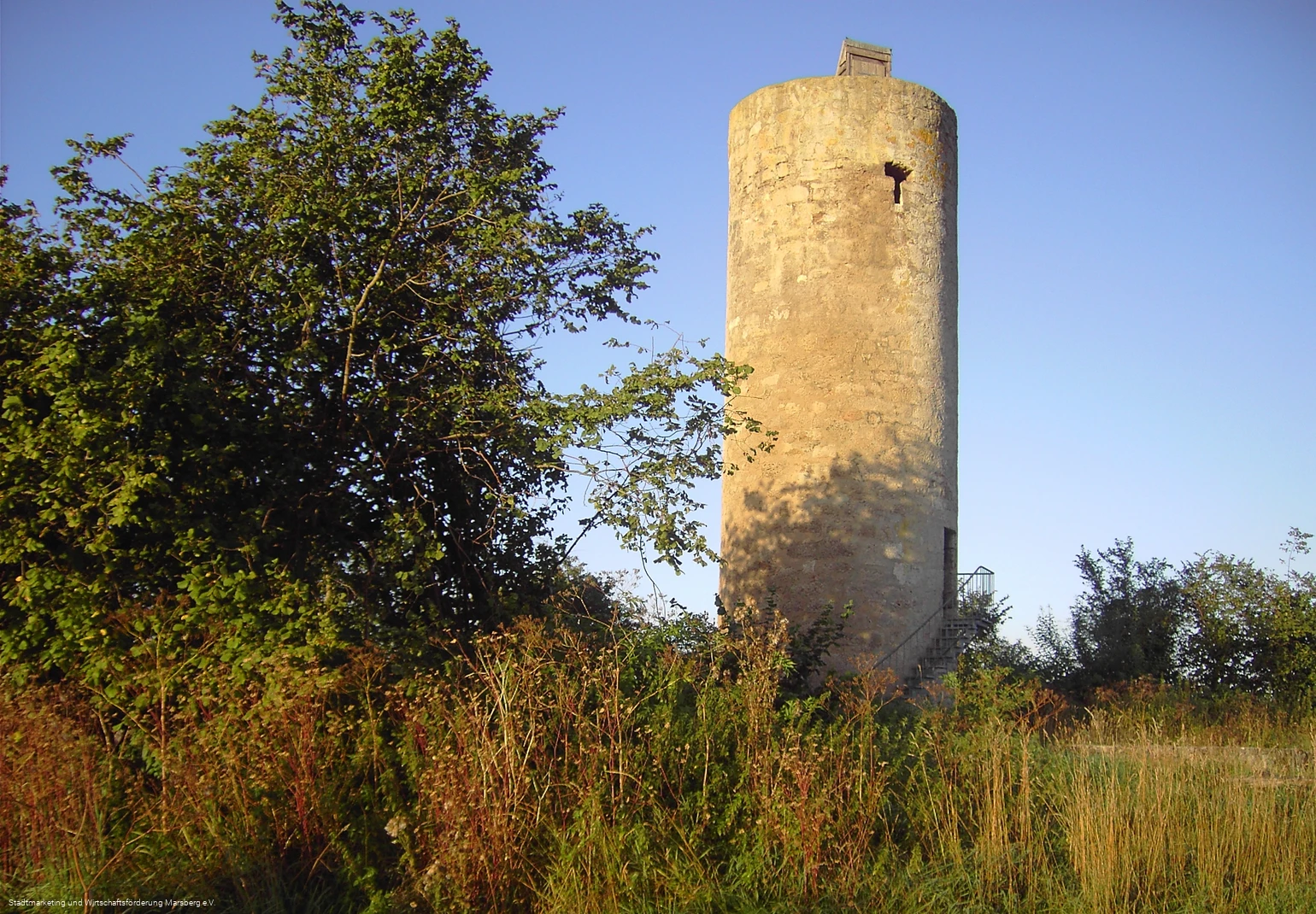 Donnersberger Warte (Mäuseturm)