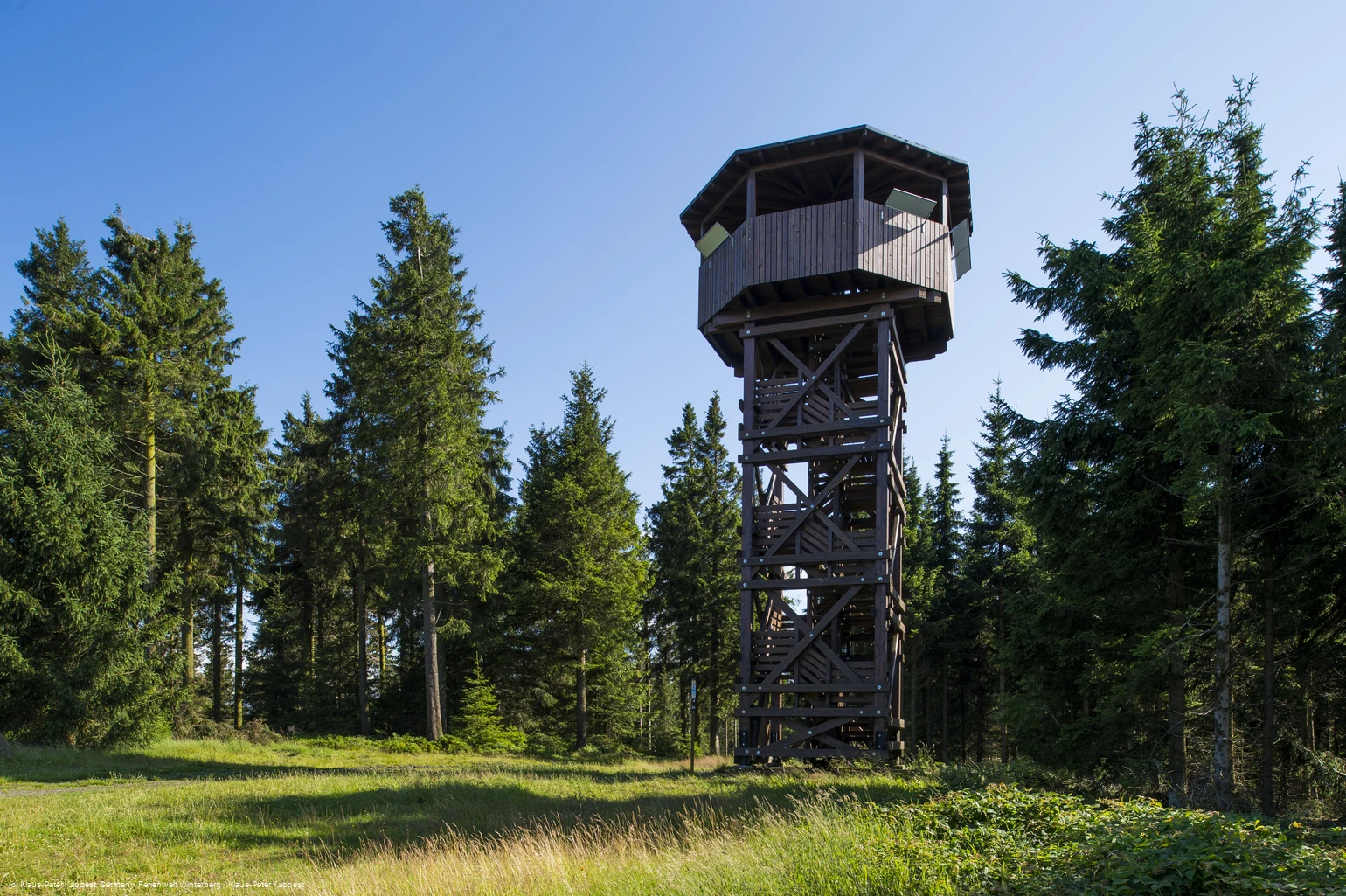 Ein Holzturm mit Dach inmitten von Tannen und einer Wiese.