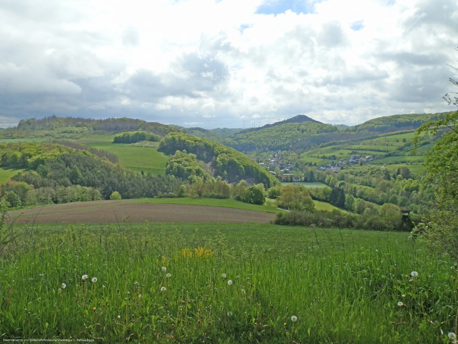 Beringhausen, NSG Brandiger Berg