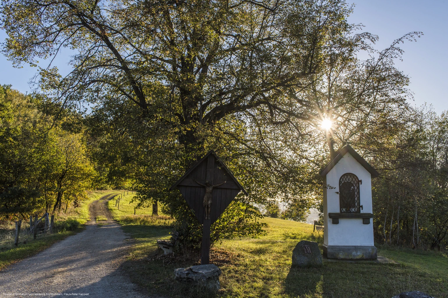 Sauerland-Seelenort Lausebuche