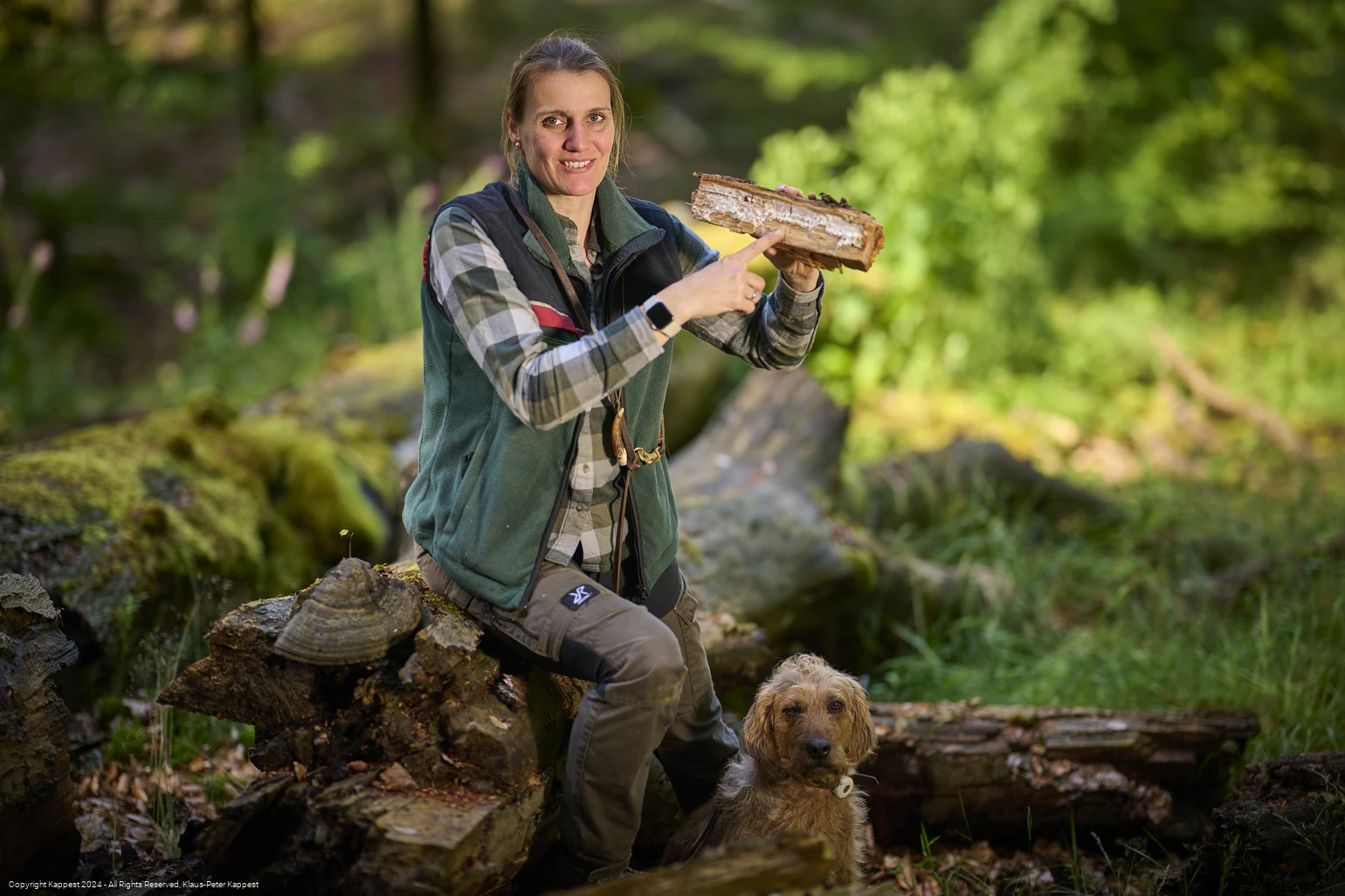 Baumrinde