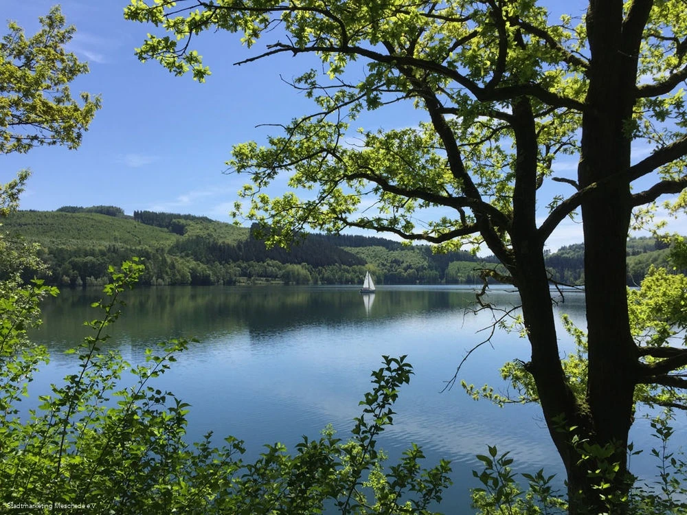 Hennesee Hennesee