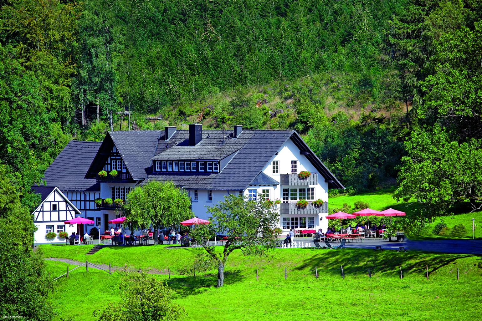 Landgasthof GutAhe.jpg