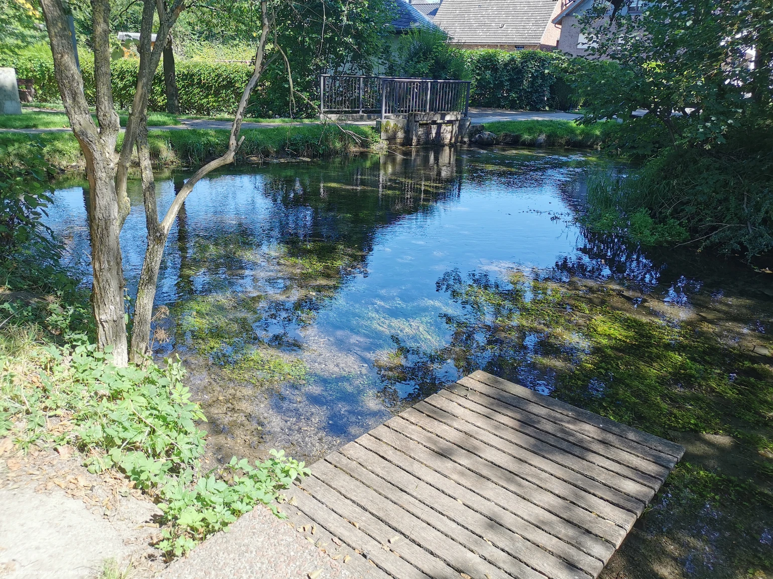 Almequellen Brilon