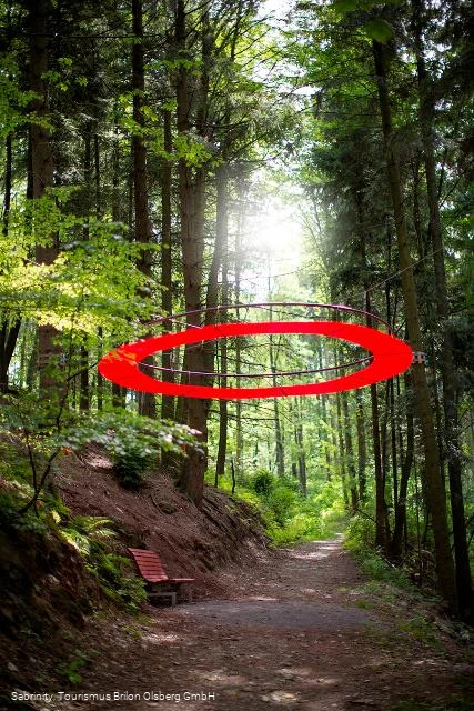 Station 8 - Feenkranz