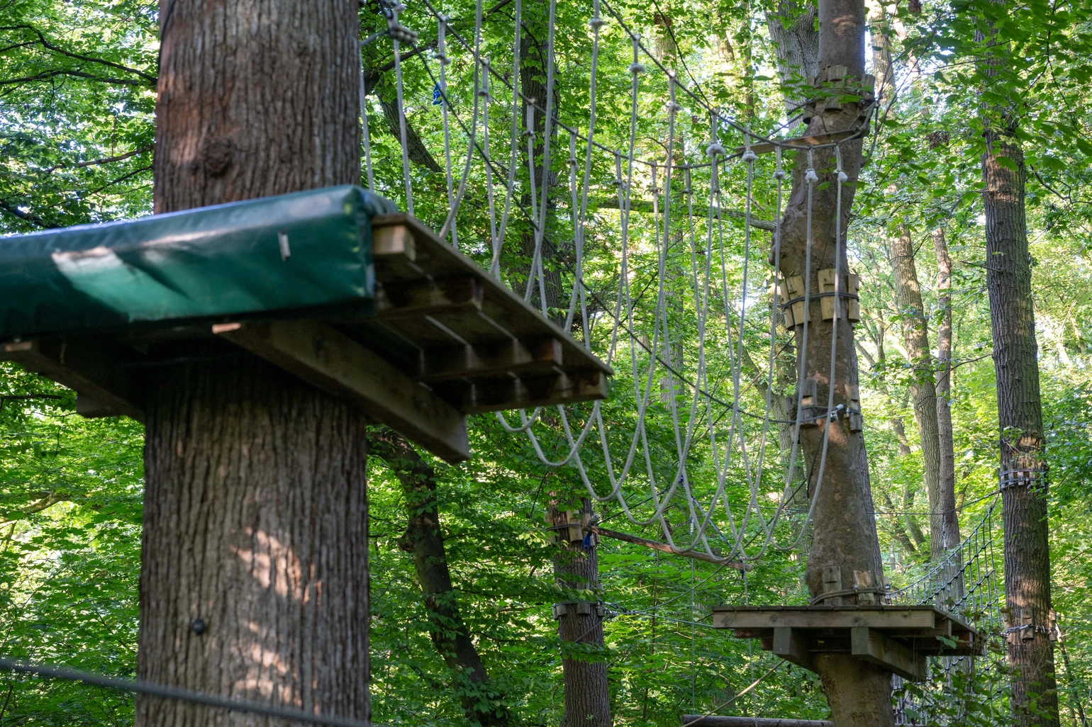 20240729_Kletterpark 2.jpg 20240729_Kletterpark 2.jpg