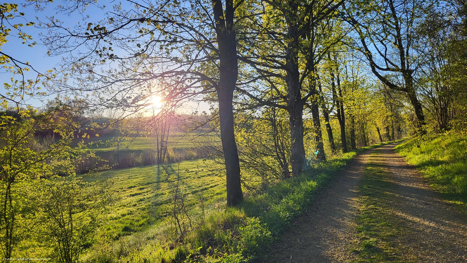 Unterwegs auf dem Amselpfad