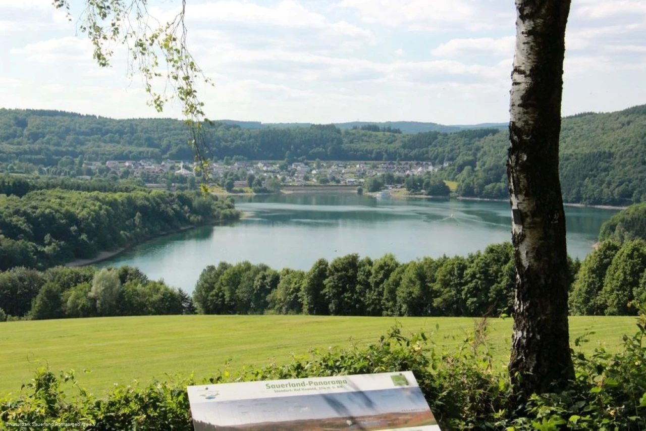 Howald-Blick auf den Biggesee.jpg