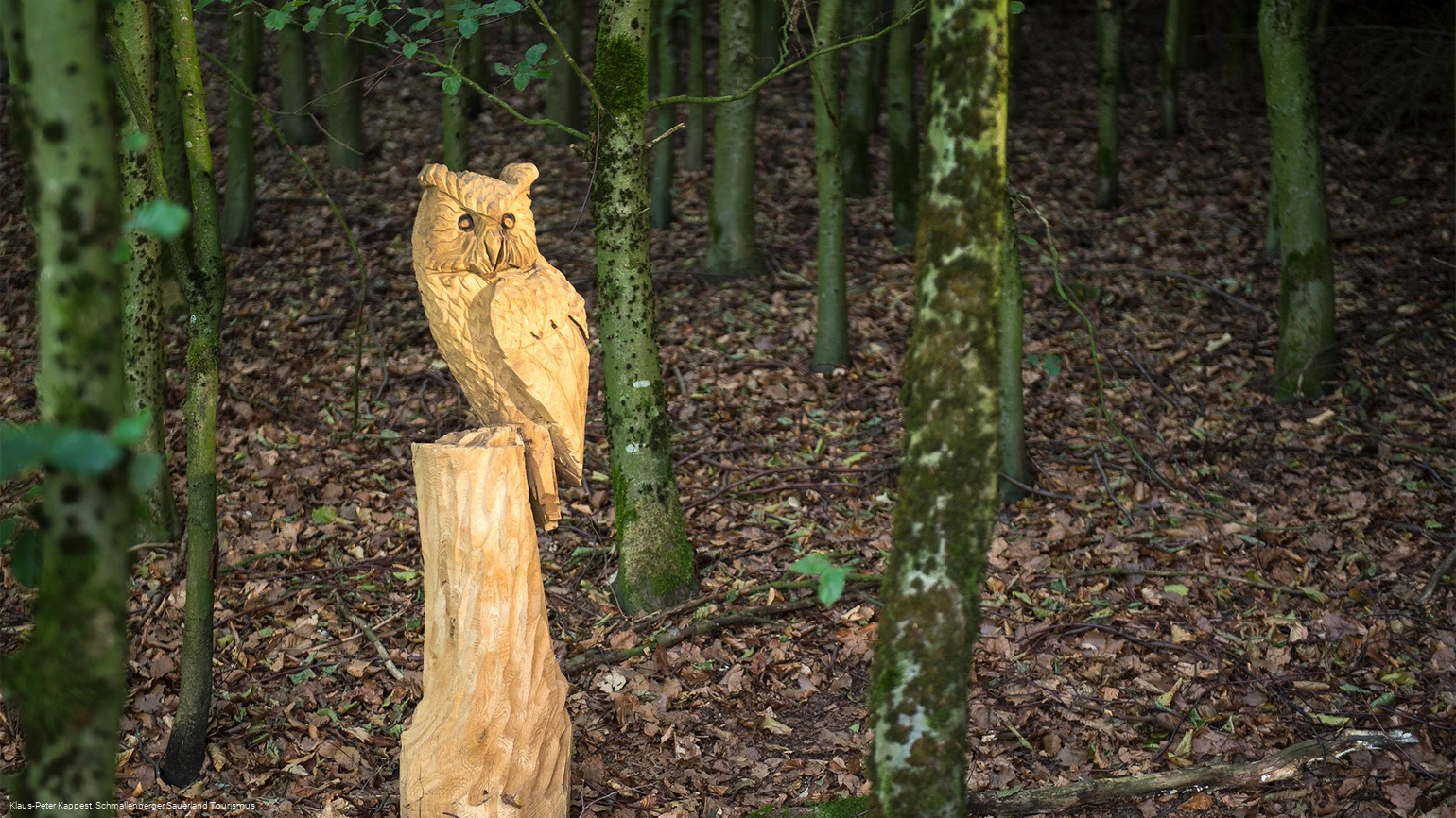 Geschnitzte Eule an der Fotoroute Oberhenneborn