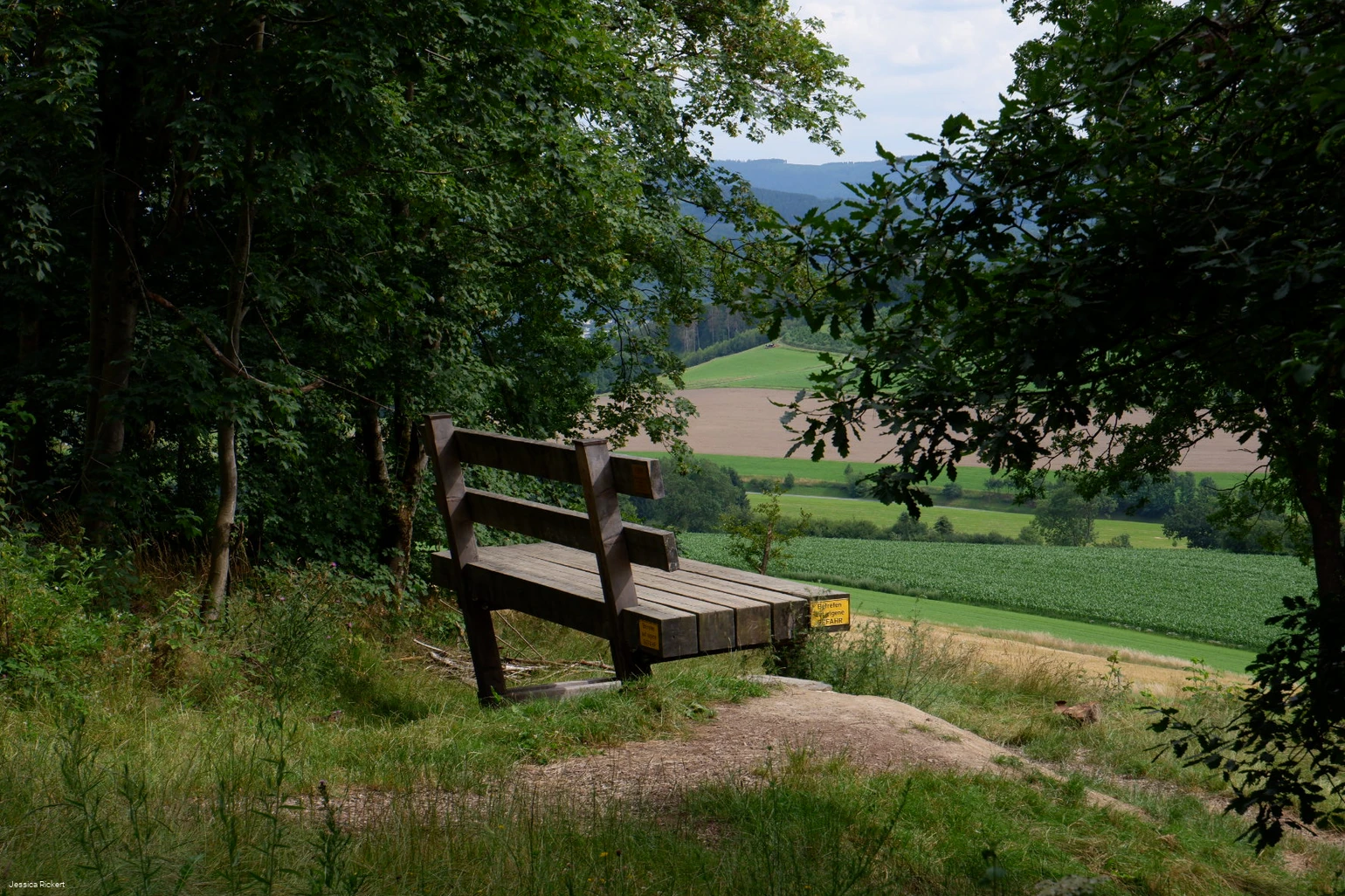 Riesen Bank bei Eversberg 1 © Jessica Rickert.jpg Riesen Bank bei Eversberg 1 © Jessica Rickert.jpg