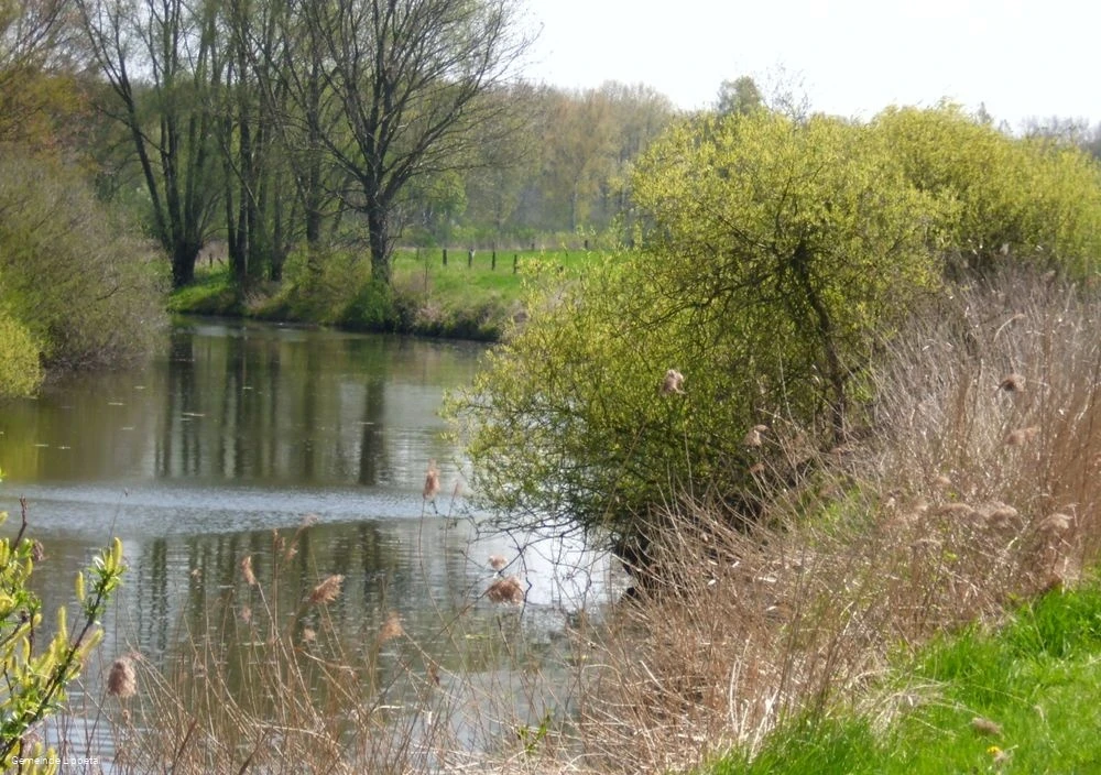 "Altarm" der Lippe