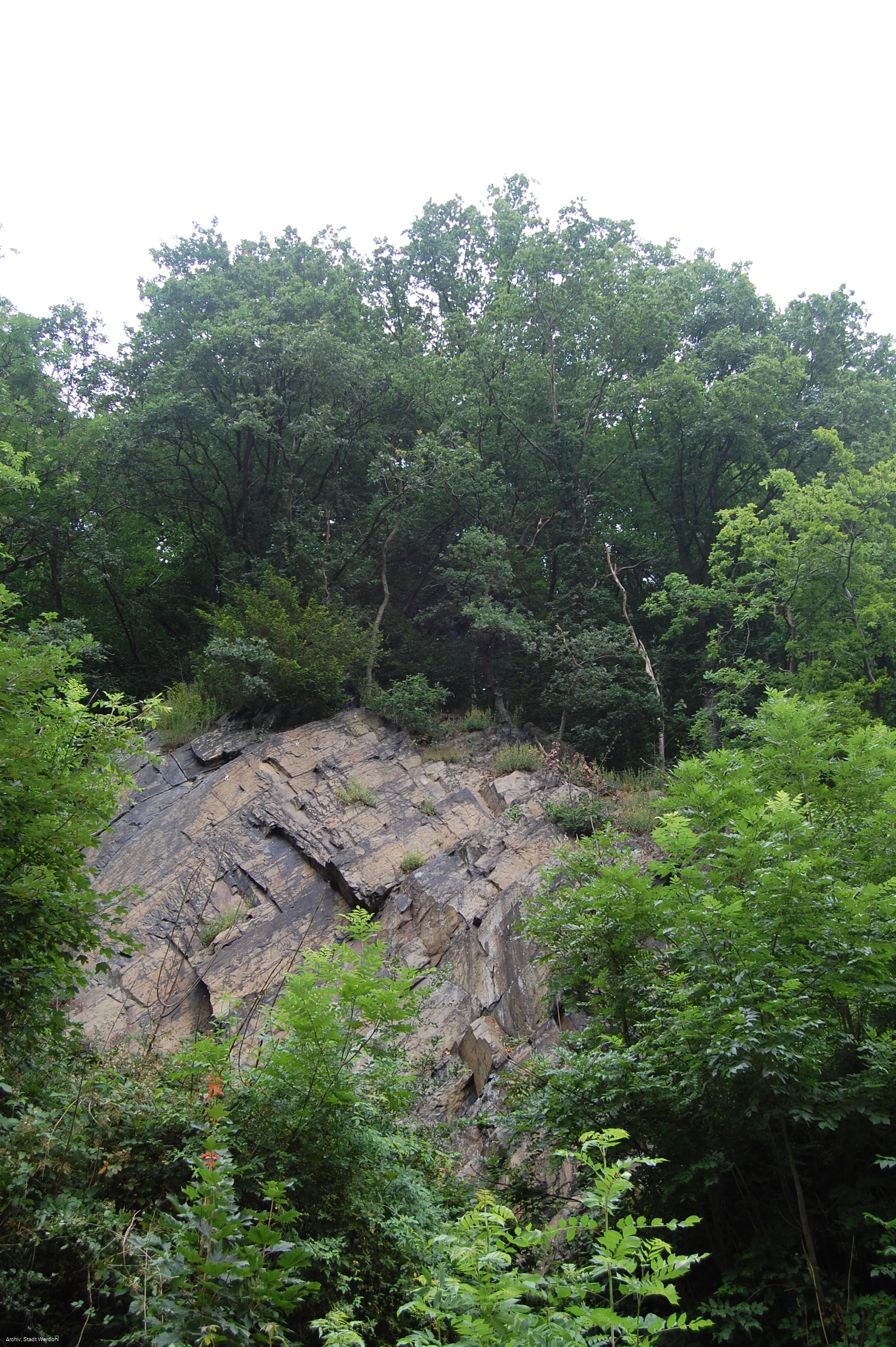 Werdohl_Kletterfelsen (7).JPG