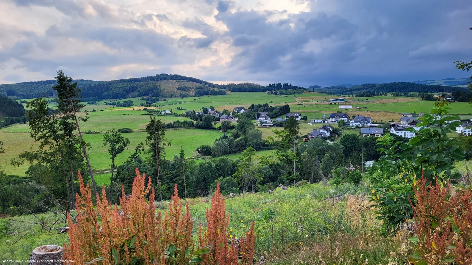 Blick auf Medebach-Oberschledorn