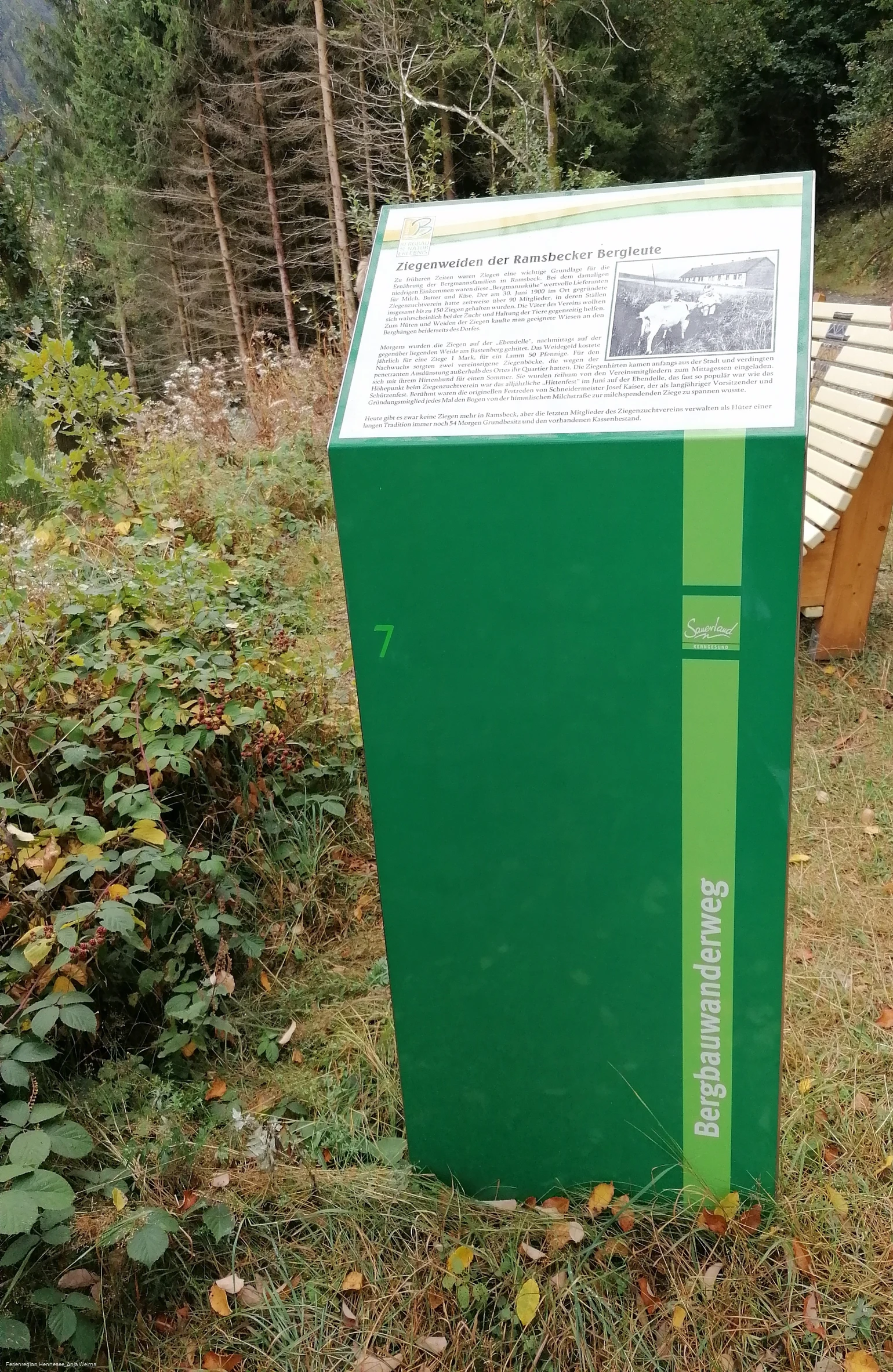  Infotafel Ziegenweiden (BergbauWanderweg 7)