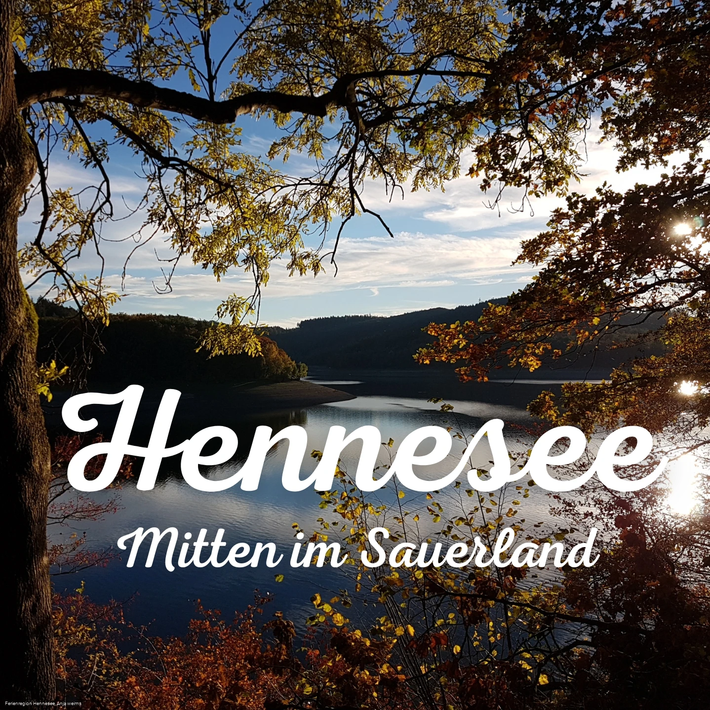 Logo-Hennesee-mitten-im-sauerland Logo-Hennesee-mitten-im-sauerland