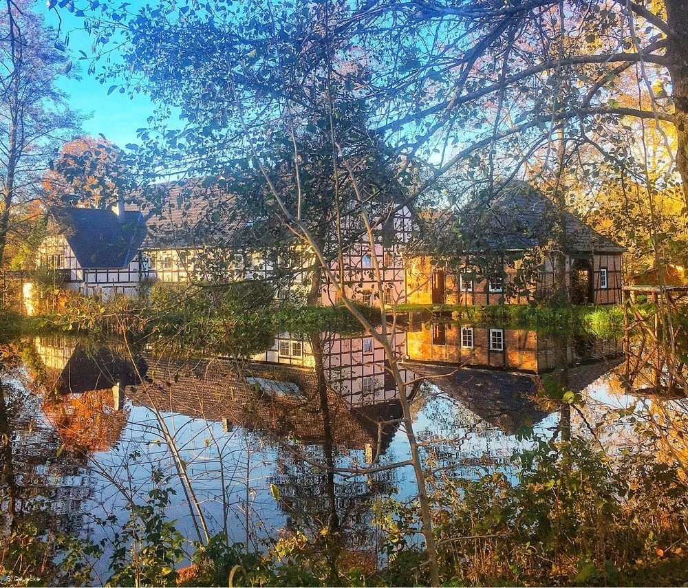 Die Mühle spiegelt sich im Mühlenteich