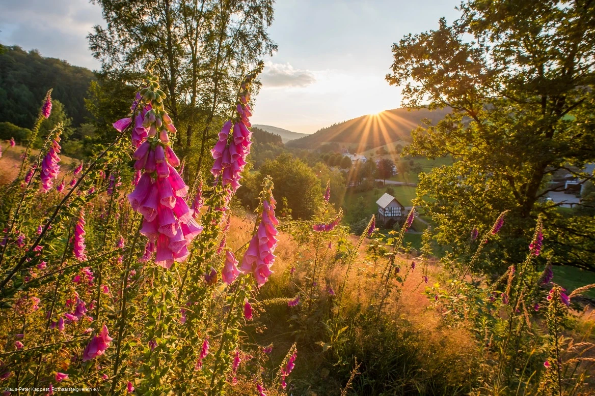 Blick auf Latrop