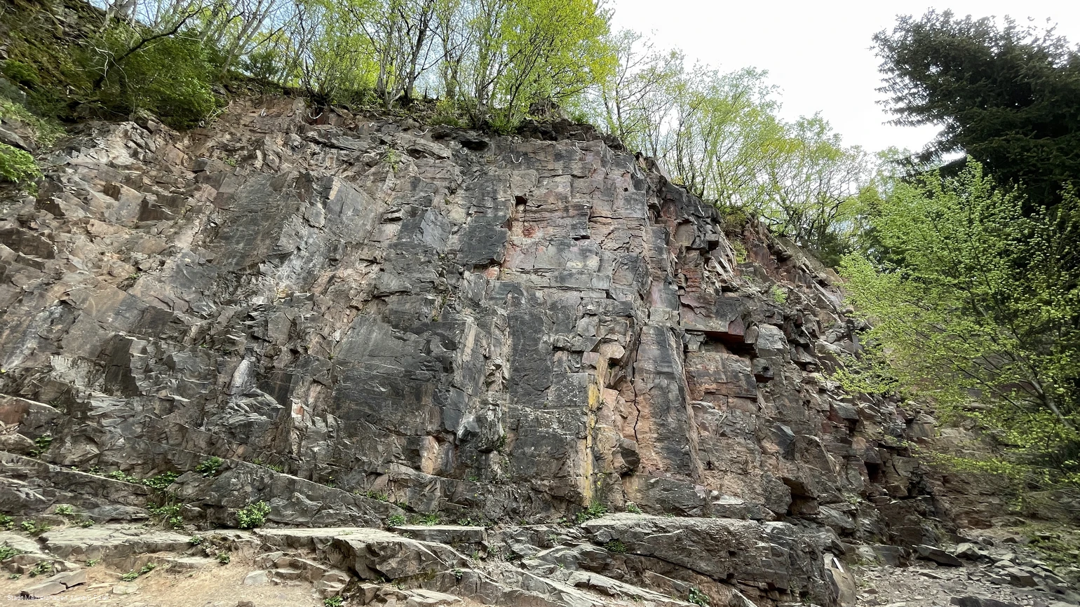 20220505_Scharpenbeul (11).jpg 20220505_Scharpenbeul (11).jpg