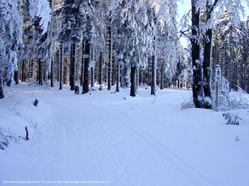 Rothaar Loipe - Abschnitt Albrechtsplatz-Kühhude