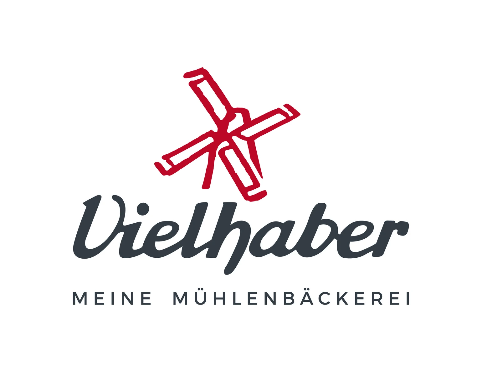 bvi-vielhaber-logo-2023-cmyk.jpg