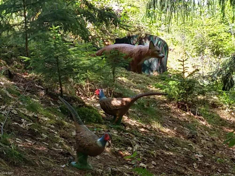 Figuren Bogenparcours