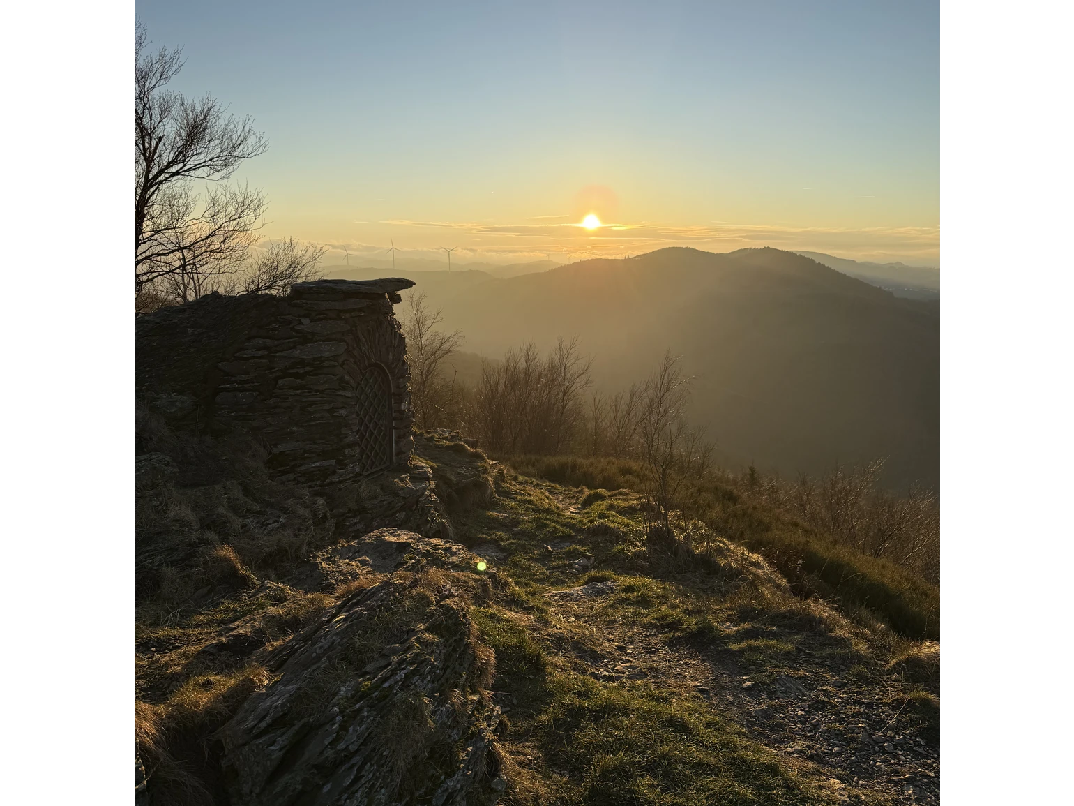 Olsberg Gipfel in der Abendsonne.jpg