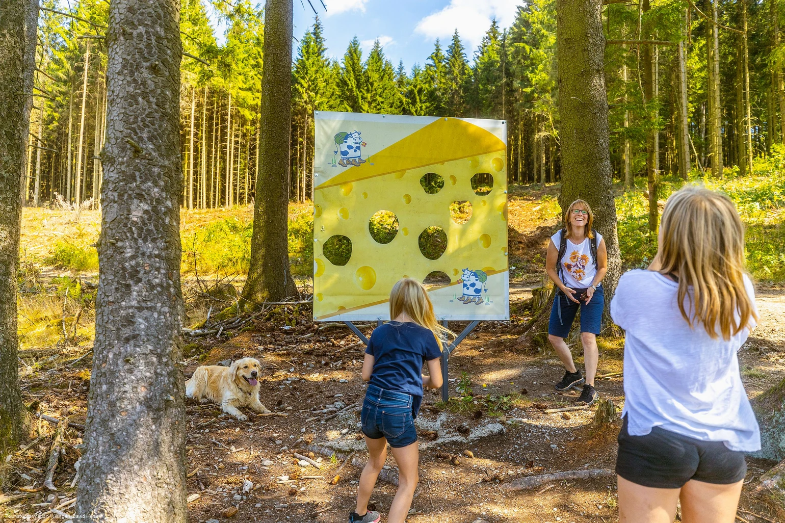 Zapfenwurf an der Käsewand am Milch-Erlebnispfad Usseln