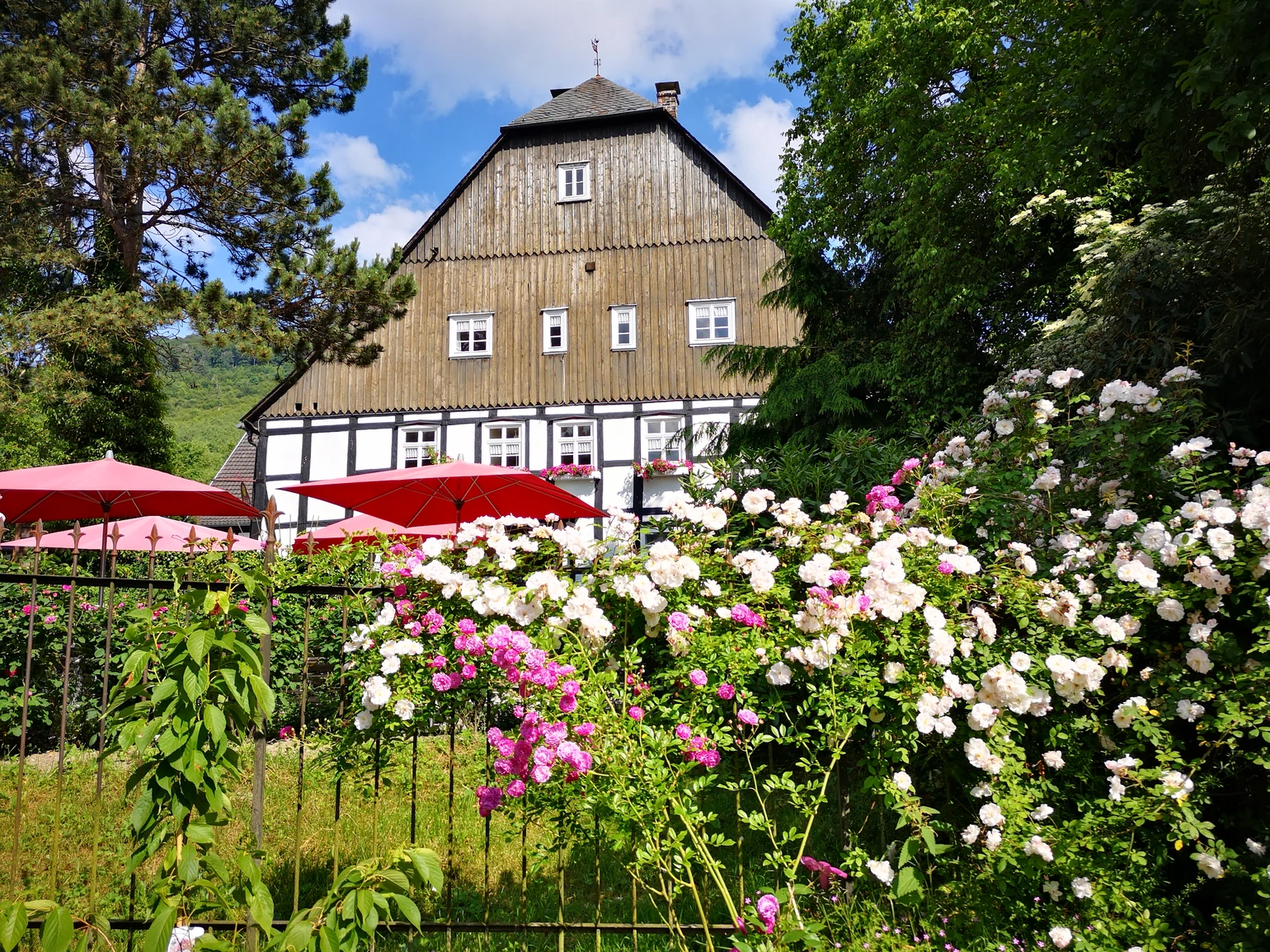 Blick auf Cafe.jpg