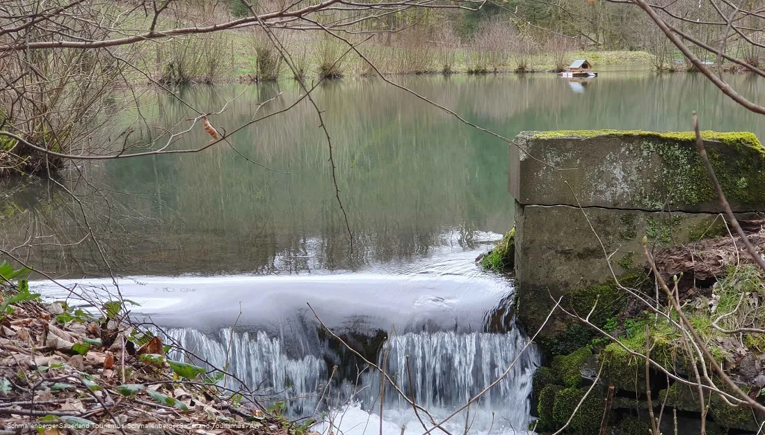 Löschteich Wulwesort