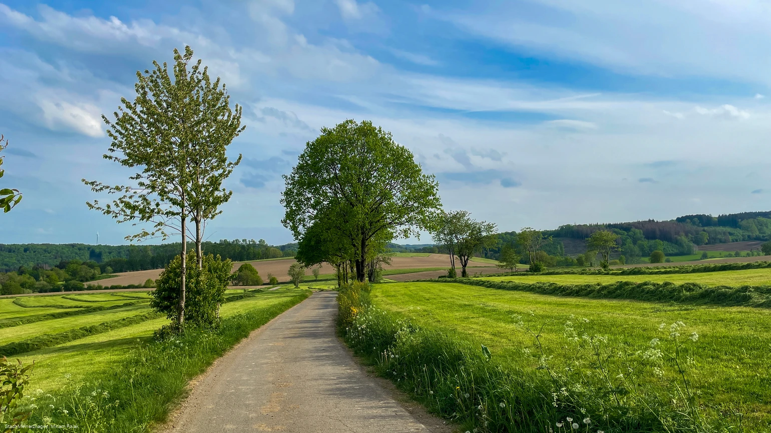 20220512_Jagdhornweg_Valbert (4).jpeg