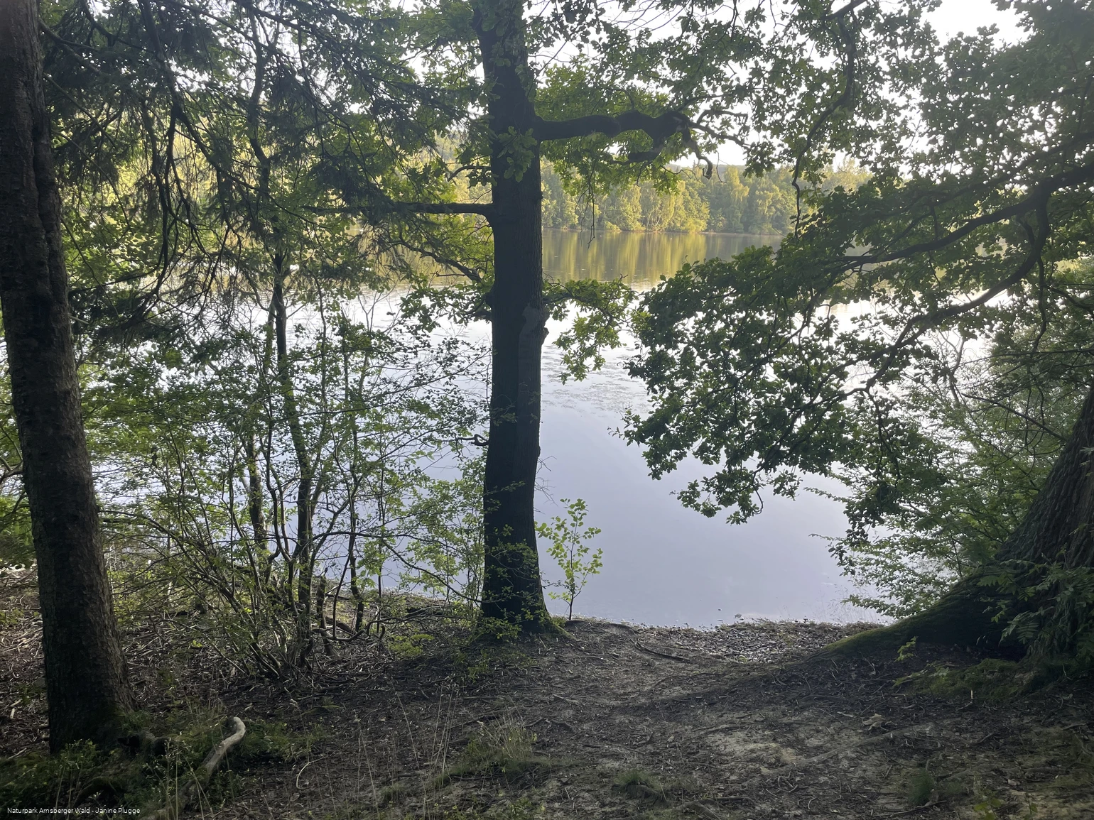 Hevesee am Möhnesee