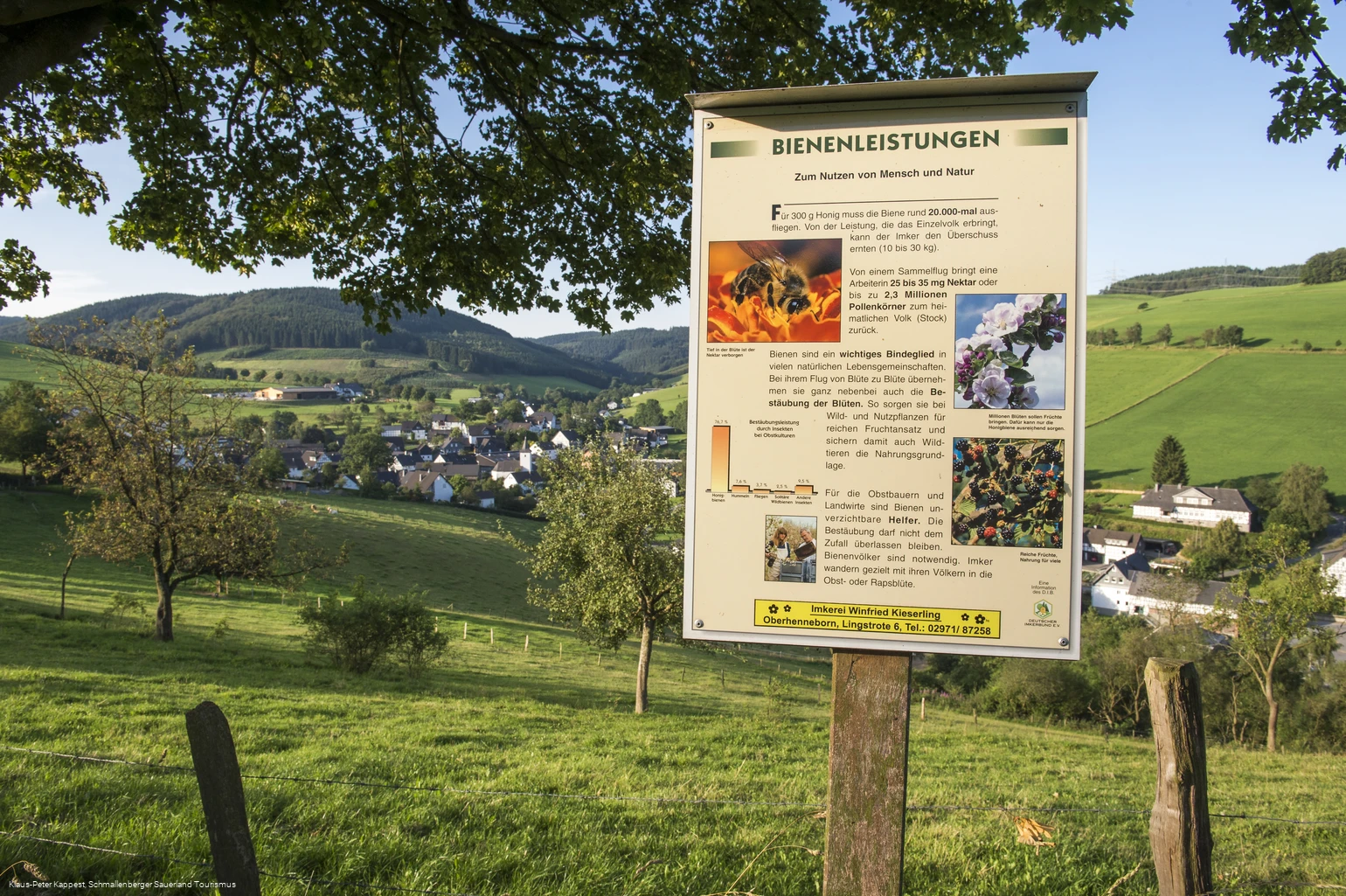 Bienenlehrpfad auf der Golddorf-Route Oberhenneborn