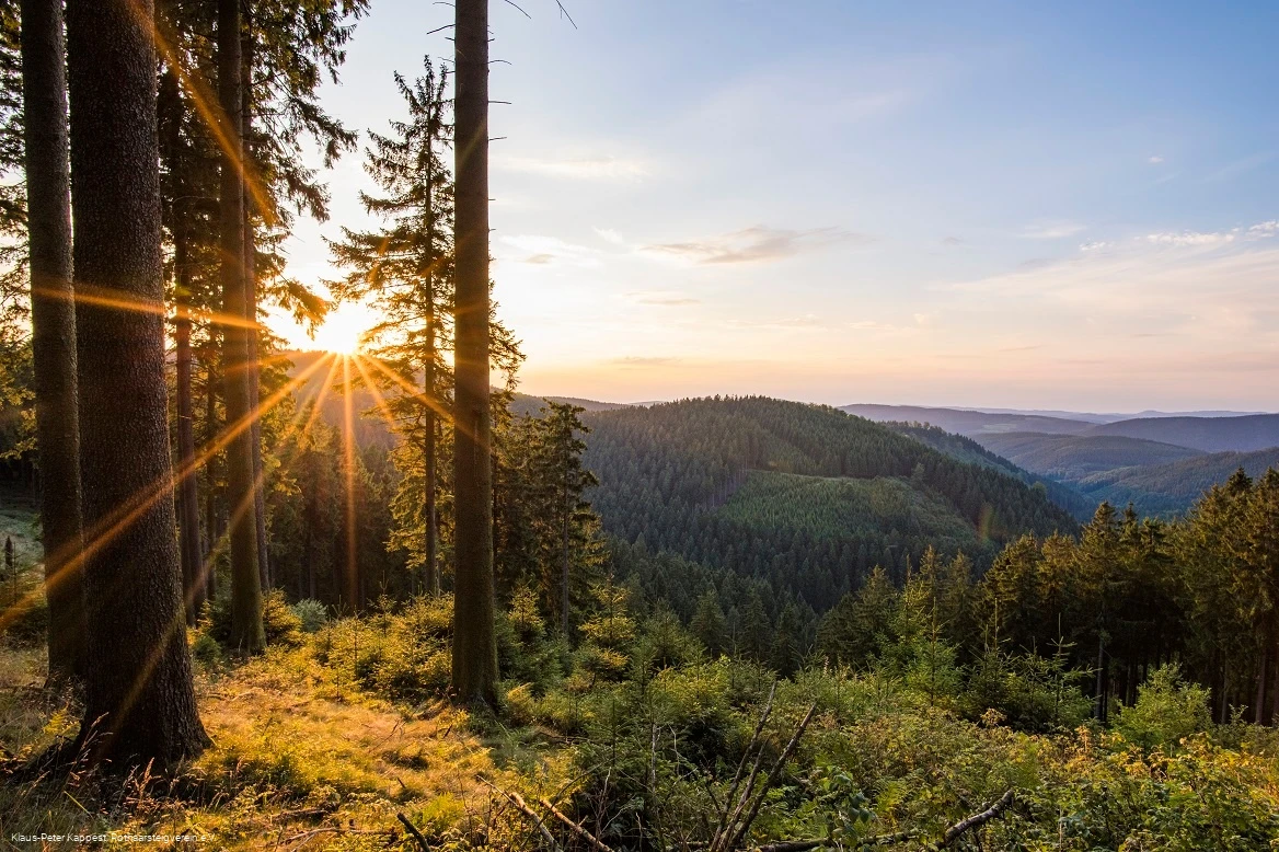 Aussicht vom Grenzweg bei Schmallenberg-Jagdhaus