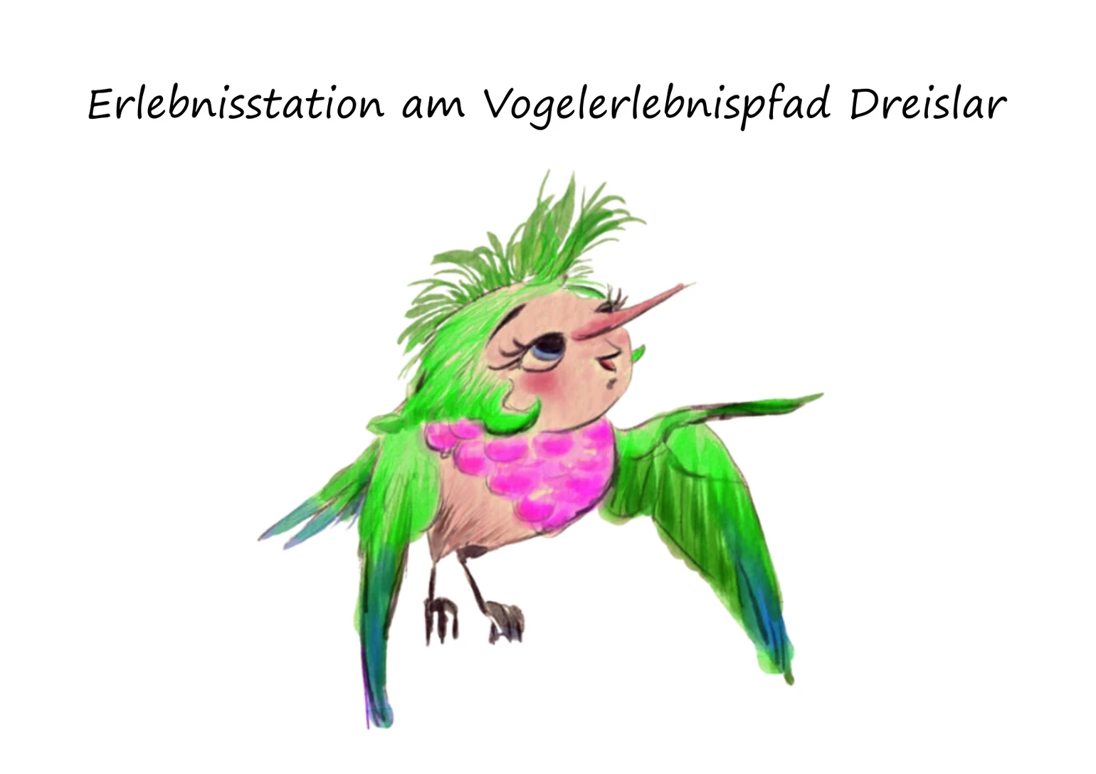 Erlebnisstation am Vogelerlebnispfad Dreislar Erlebnisstation am Vogelerlebnispfad Dreislar