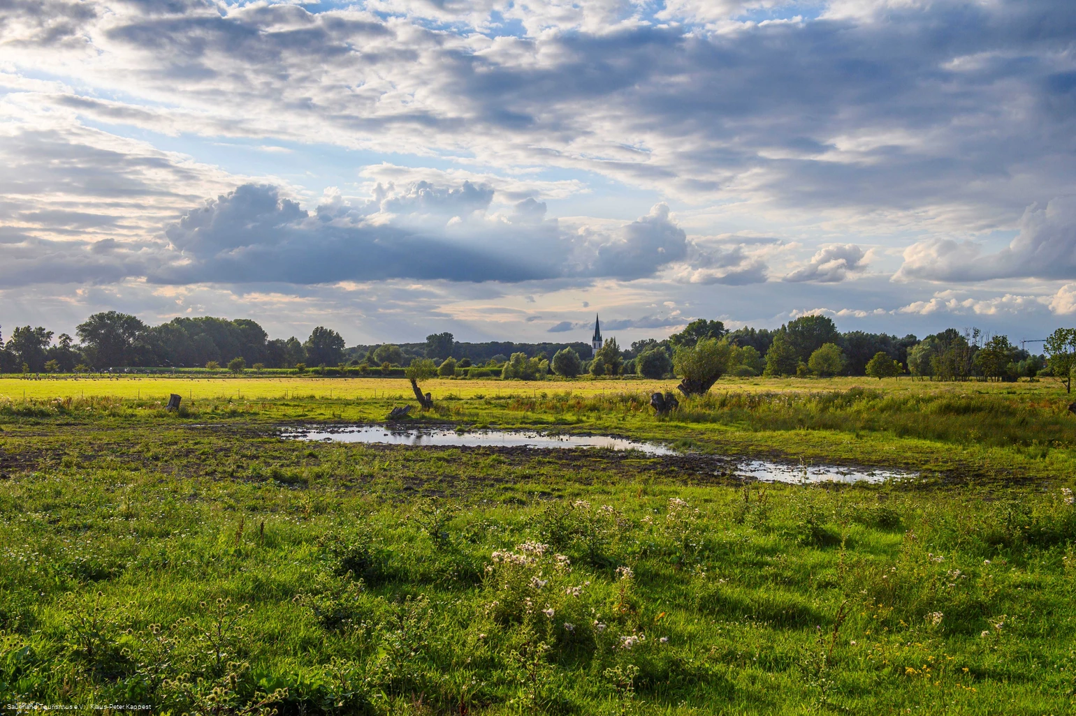 Naturschutz- und Moorabbaugebiet Woeste - Bad Sassendorf