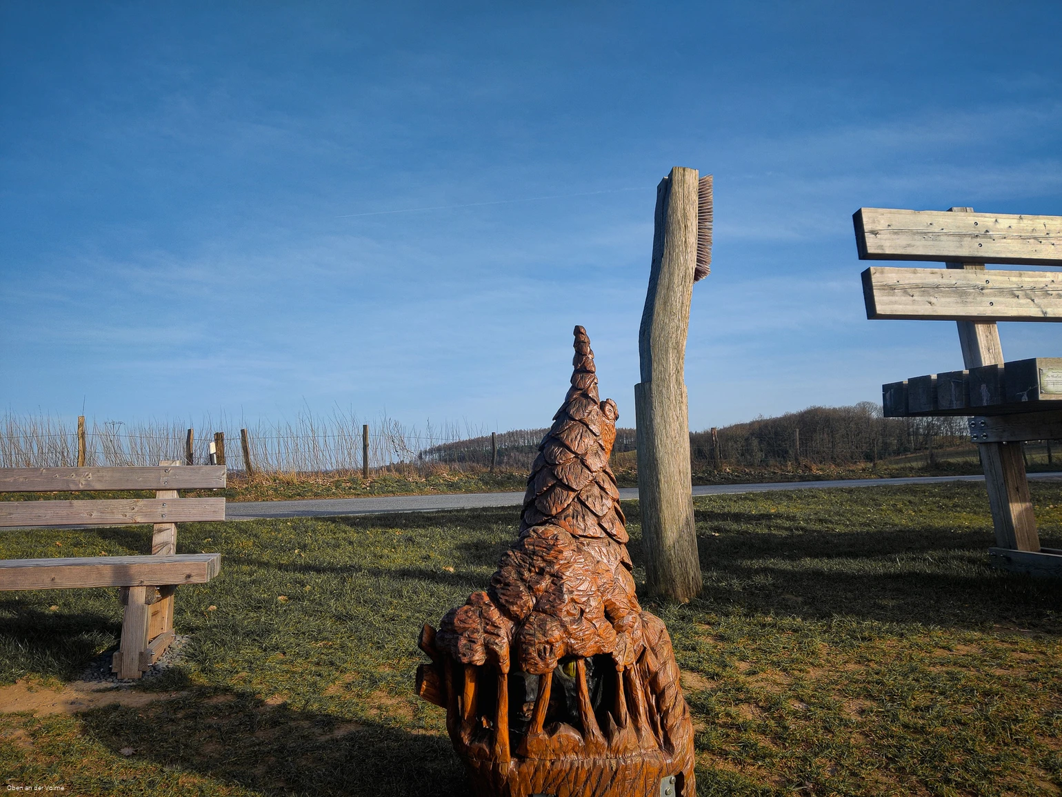 Scheuerpfahl Bürste