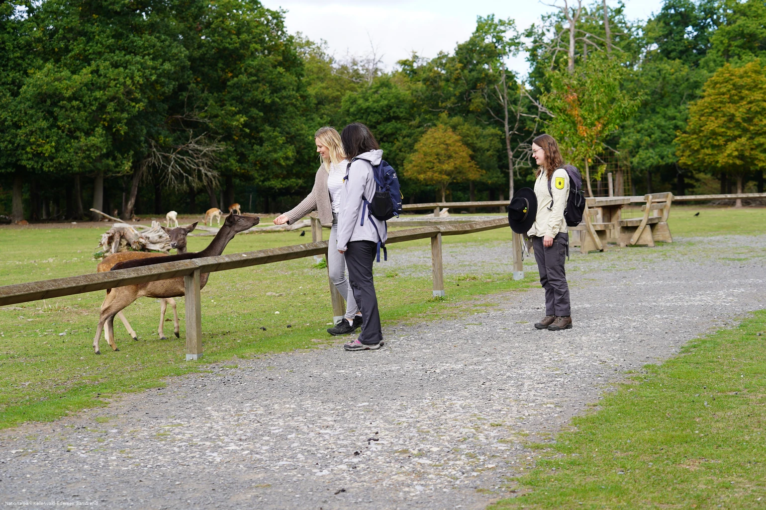  WildtierPark Edersee 