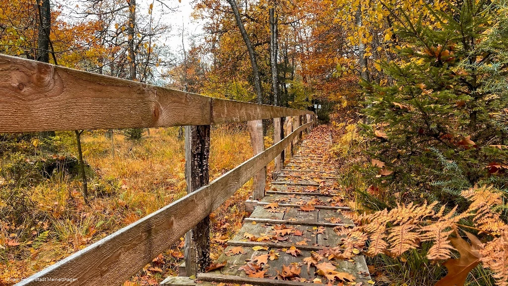 Knüppeldamm Ebbemoore