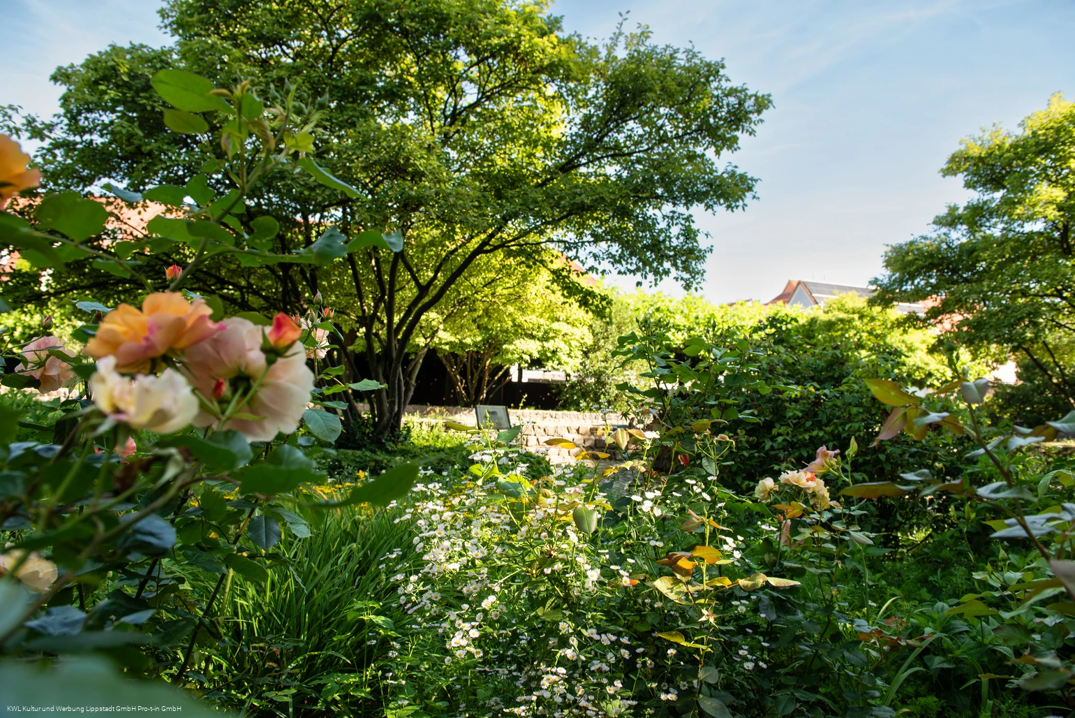 St.-Annen-Rosengarten