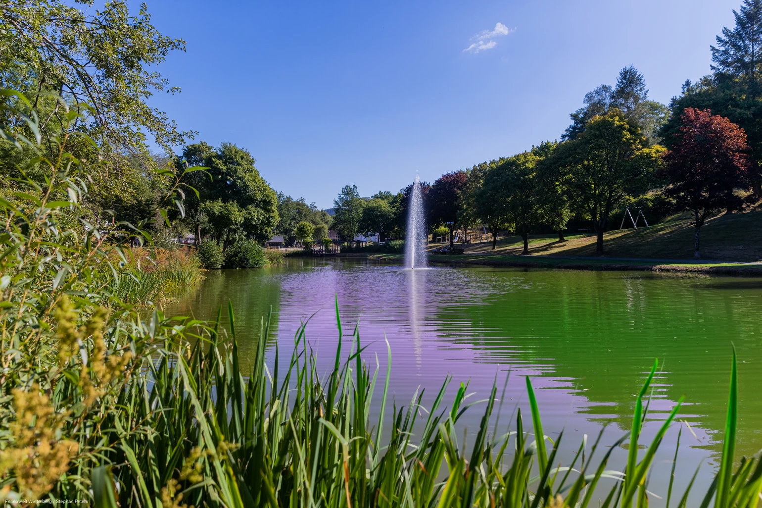 Ein See mit einer Fontäne in der Mitte umgeben von Wiesen, Sträuchern und Bäumen.