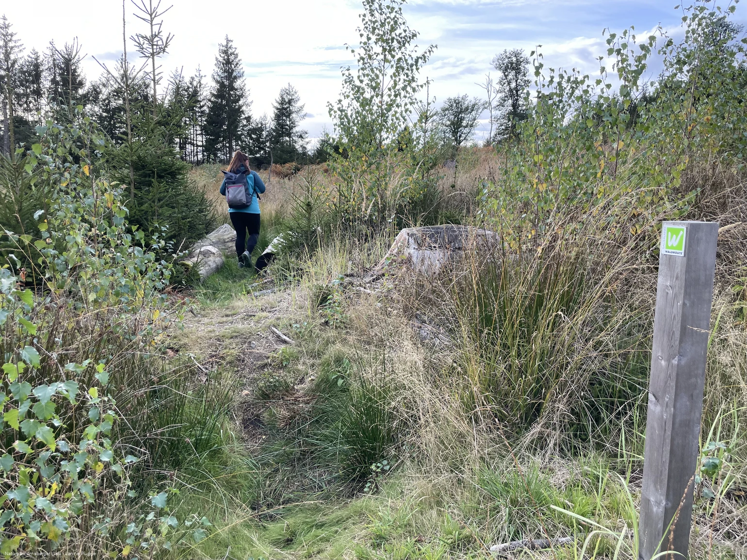 Sauerland-Waldroute Etappe Lattenberg-Neuhaus (c) Janine Plugge_CC-BY-SA (36).jpeg