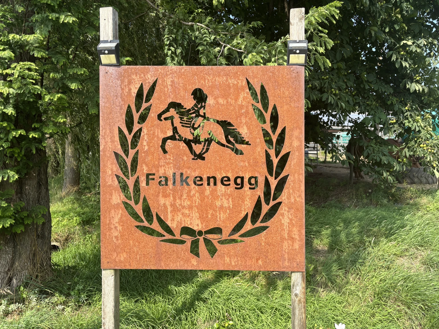 Falkenegg_Logo