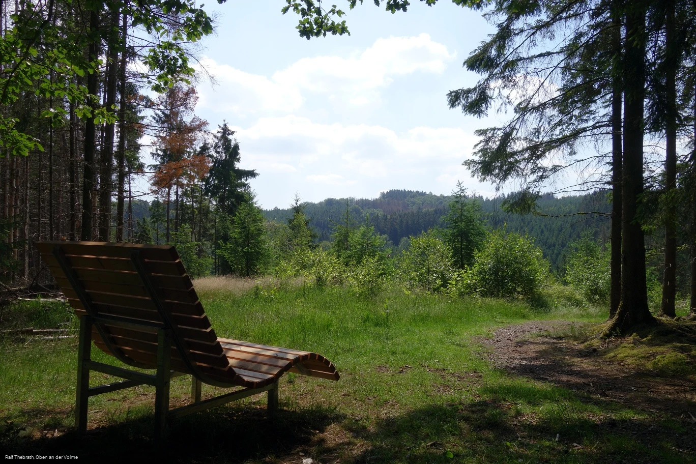 Das Waldsofa am "Erlebnispunkt Schanhollen" lädt zum Verweilen ein